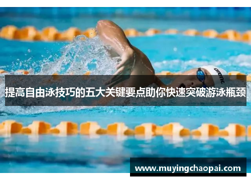 提高自由泳技巧的五大关键要点助你快速突破游泳瓶颈