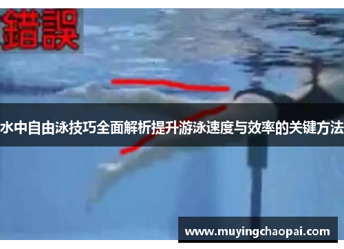 水中自由泳技巧全面解析提升游泳速度与效率的关键方法