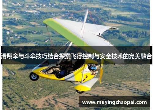 滑翔伞与斗伞技巧结合探索飞行控制与安全技术的完美融合