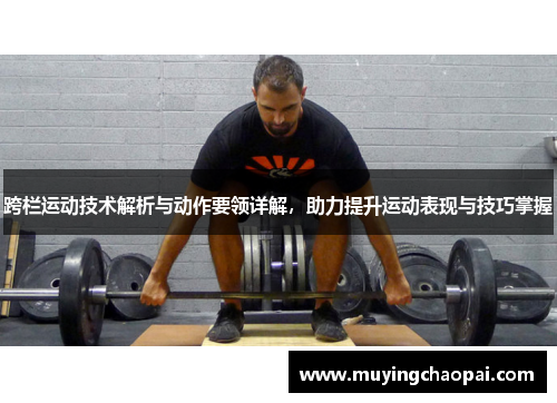 跨栏运动技术解析与动作要领详解，助力提升运动表现与技巧掌握